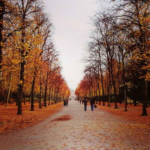 Beauty Nature