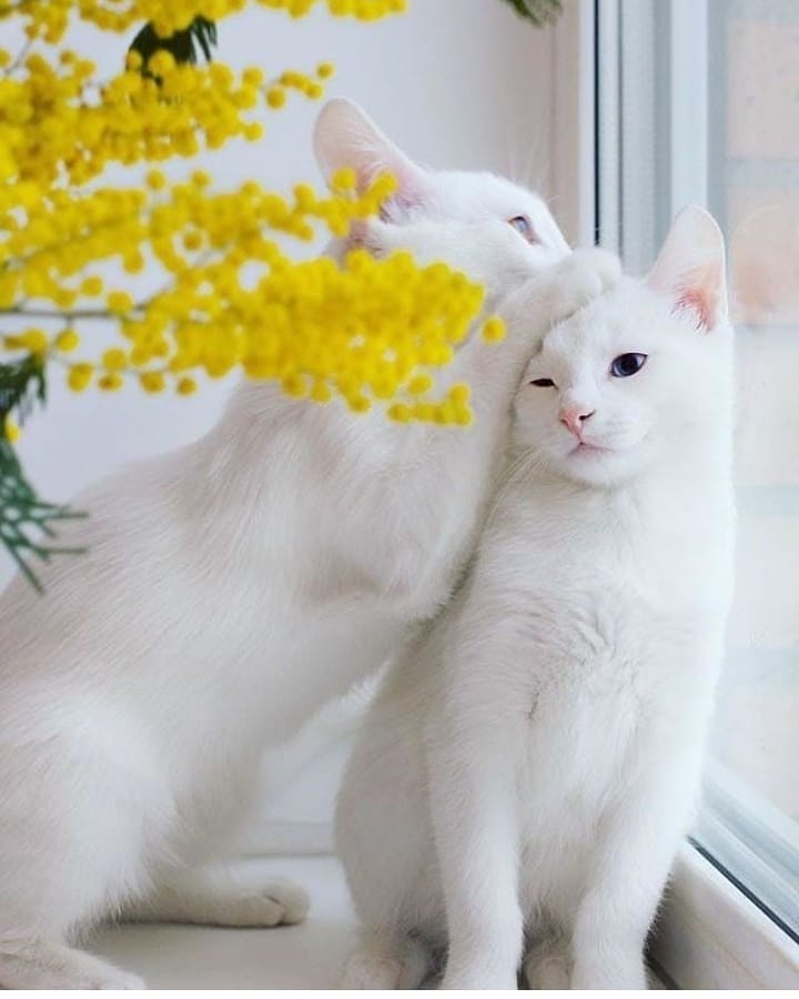 ❤❤