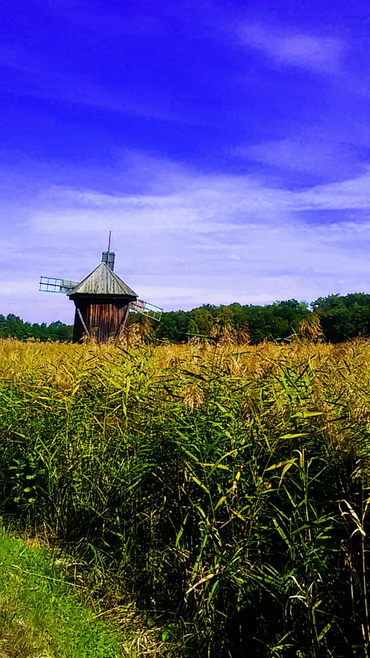 mill