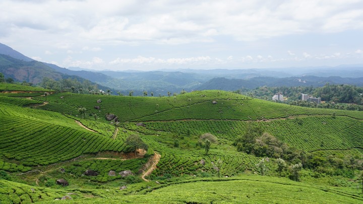 kerala