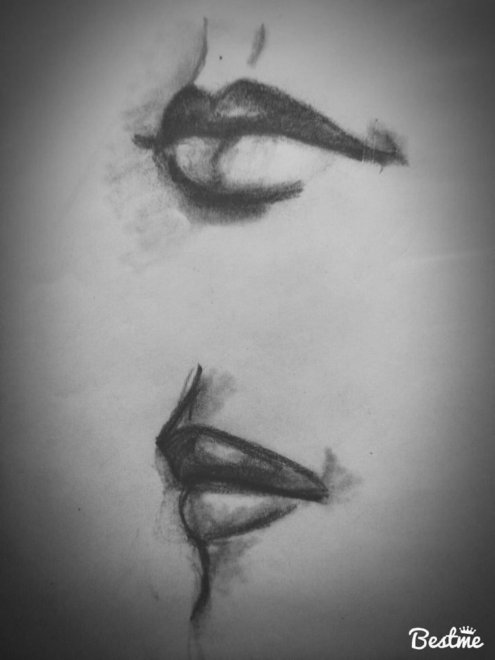 the lips