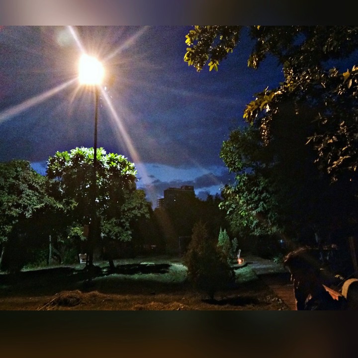 #evening #park #lovenature