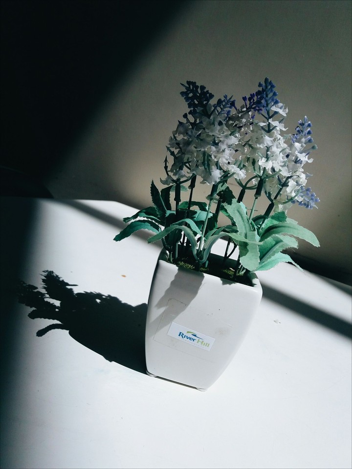 #flower