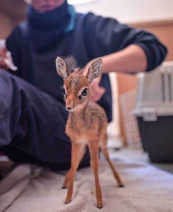 ❤