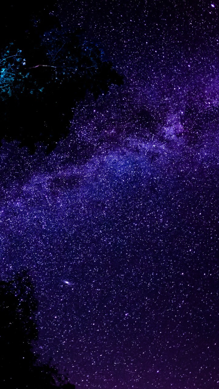 Dark niGht