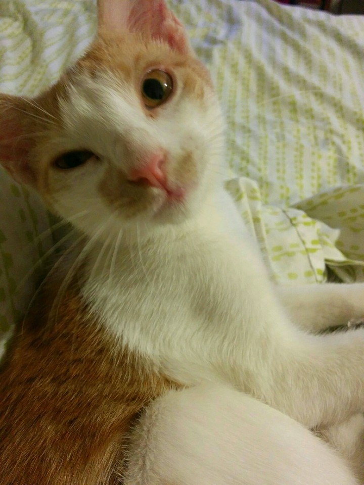 Lumy despertando