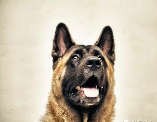 Beautiful