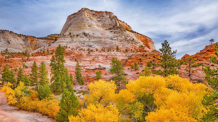 Autumn in Zion National Park, Utah