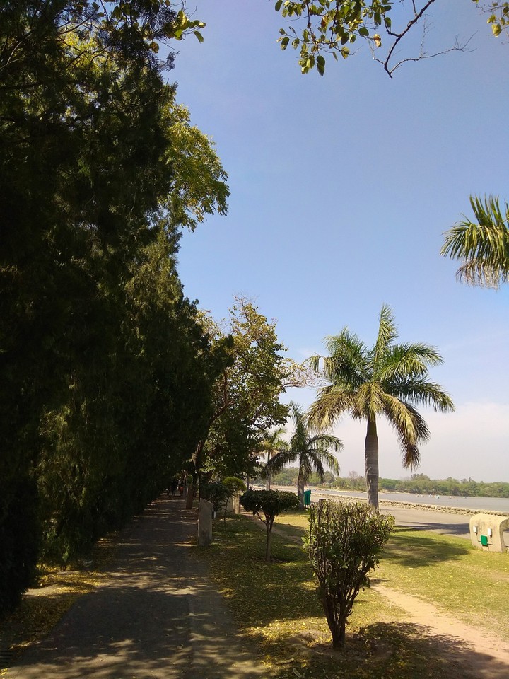 nature