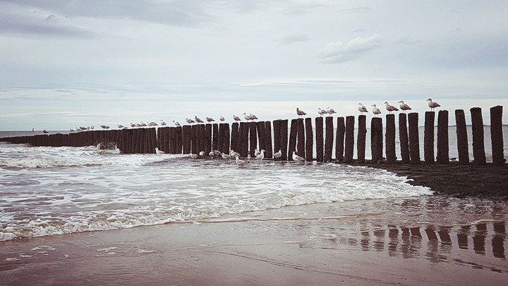 Cadzand bad