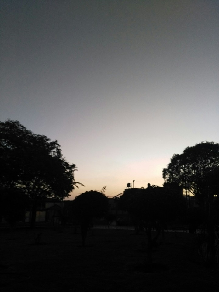 park