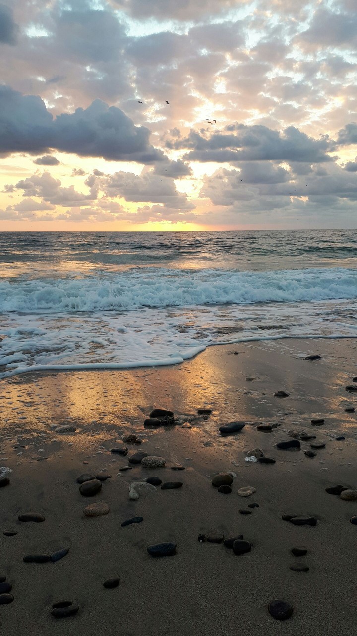 Lovely Sunrise