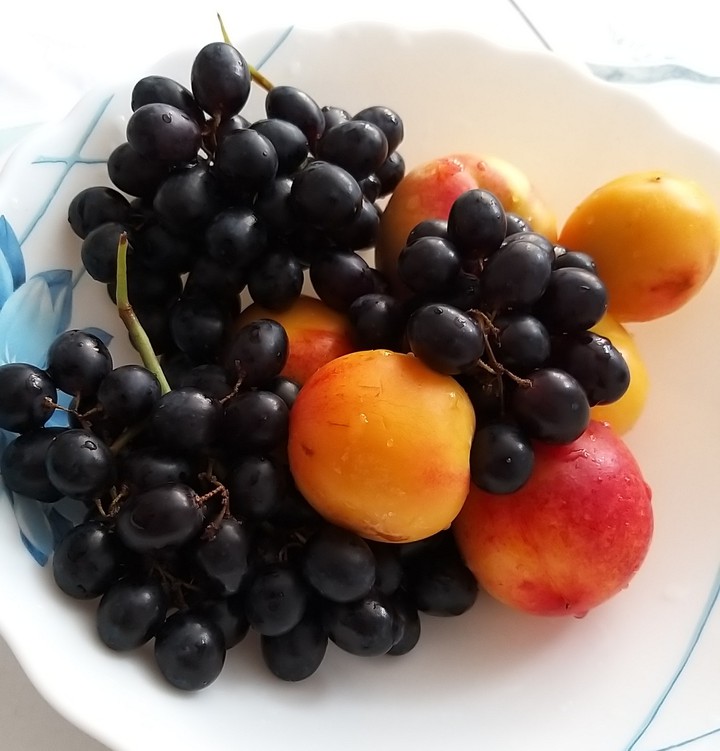 fruit