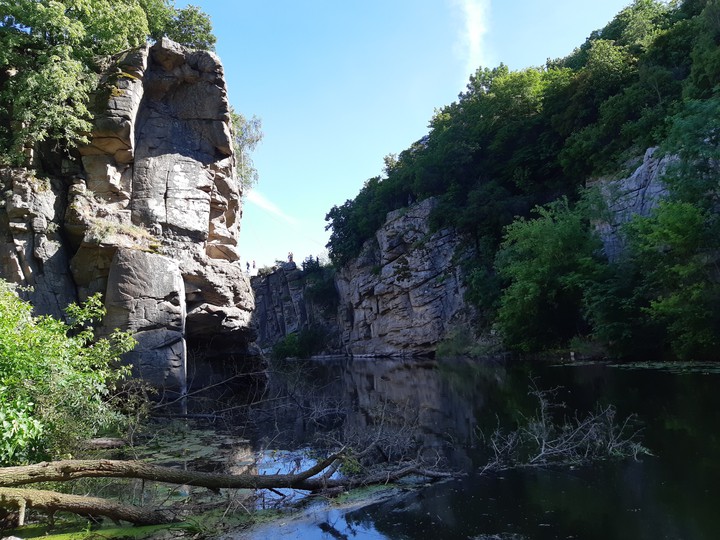 nature
