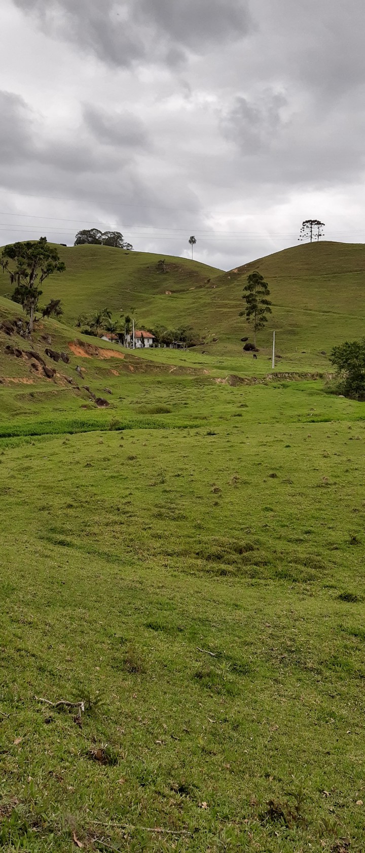 Green and sky