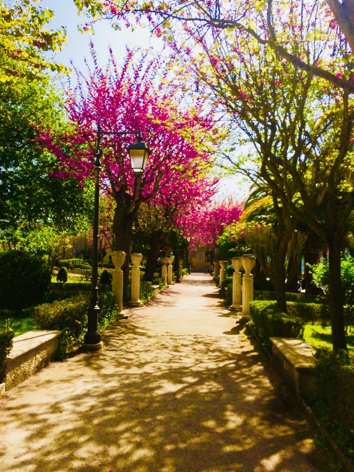 ...SPRING...