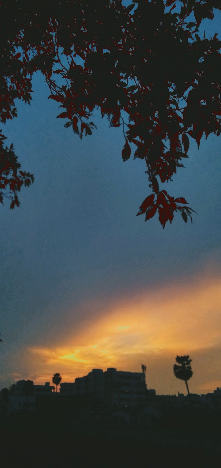 pleasent evening