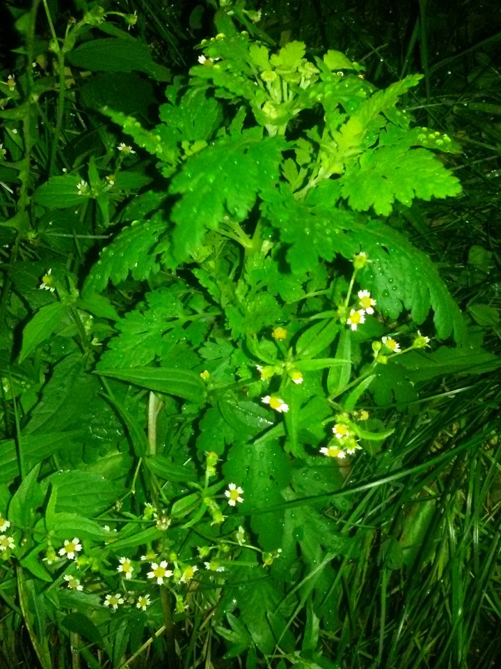 Nachtruhe
