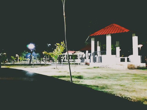 night