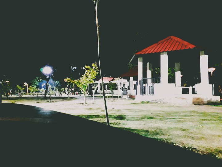 night