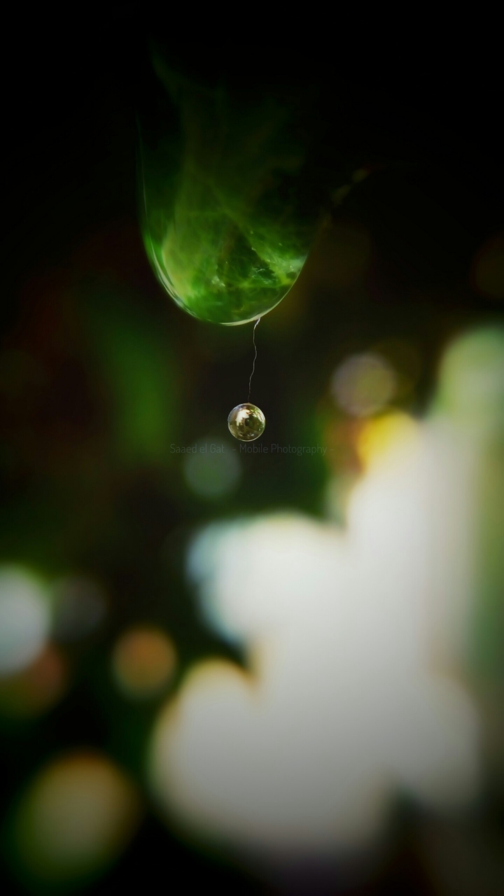 la planète d'eau