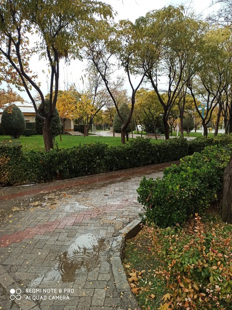 #fall