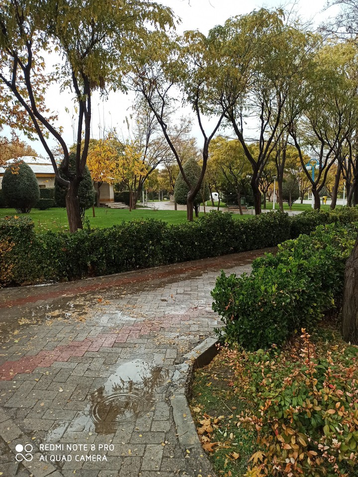 #fall
