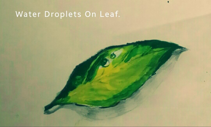 Water droplets on leaf.(drawn  by me)