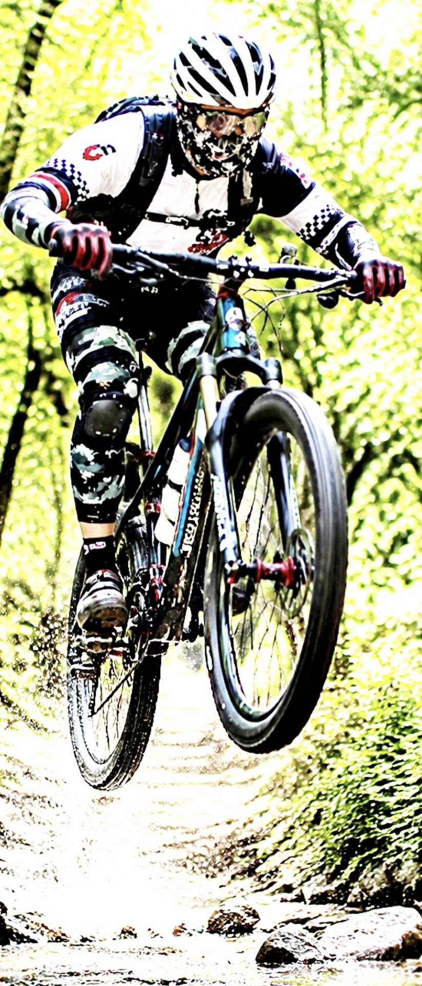 tapety bycycle, bicycle