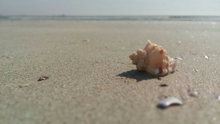 Beach close up