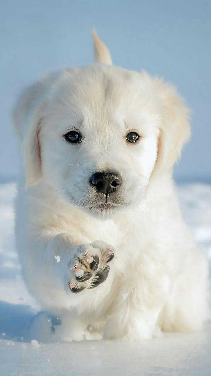 Hiii