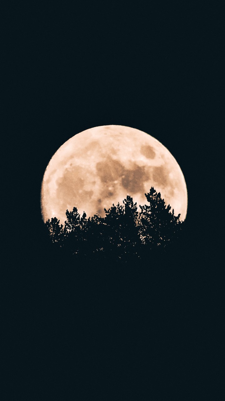 night moon