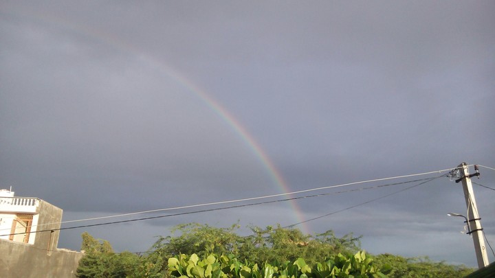 beauty of nature