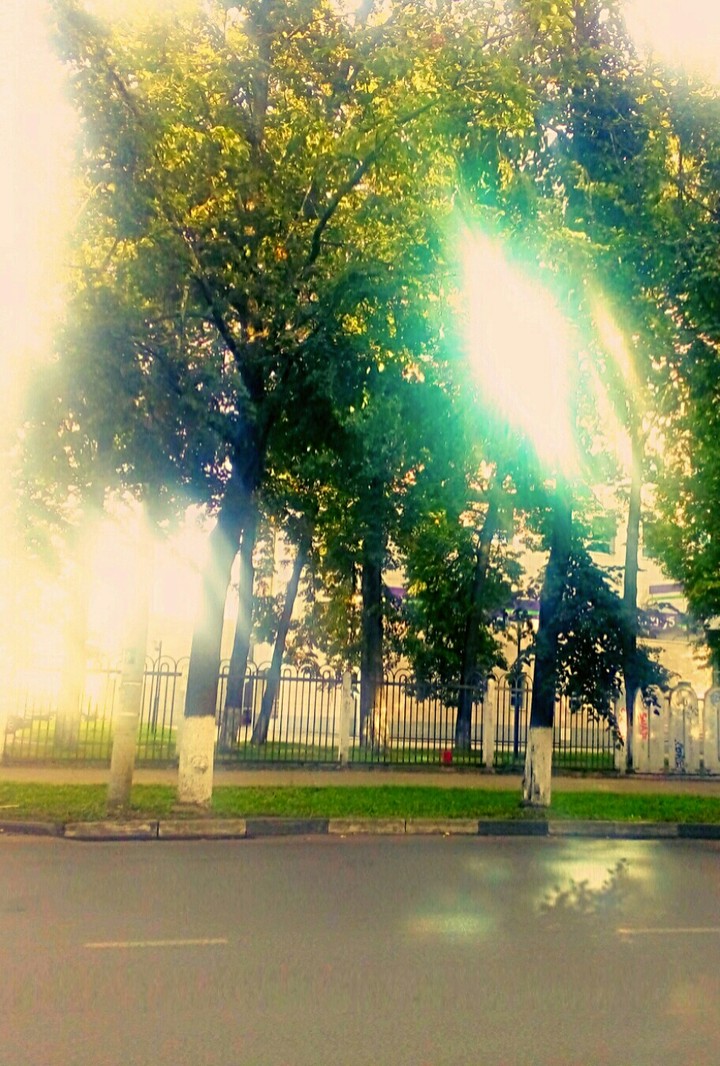 Дорога
