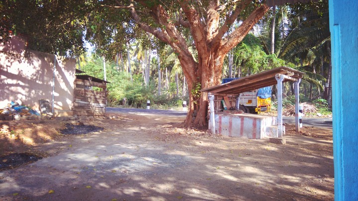 my village