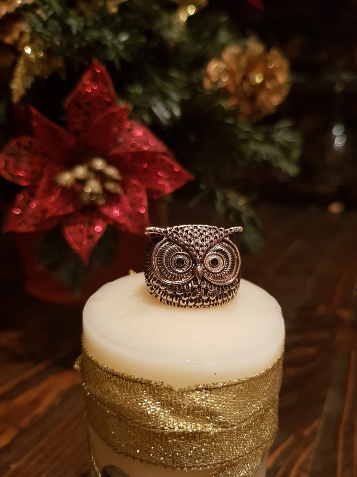 owl