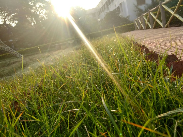 morning vibes