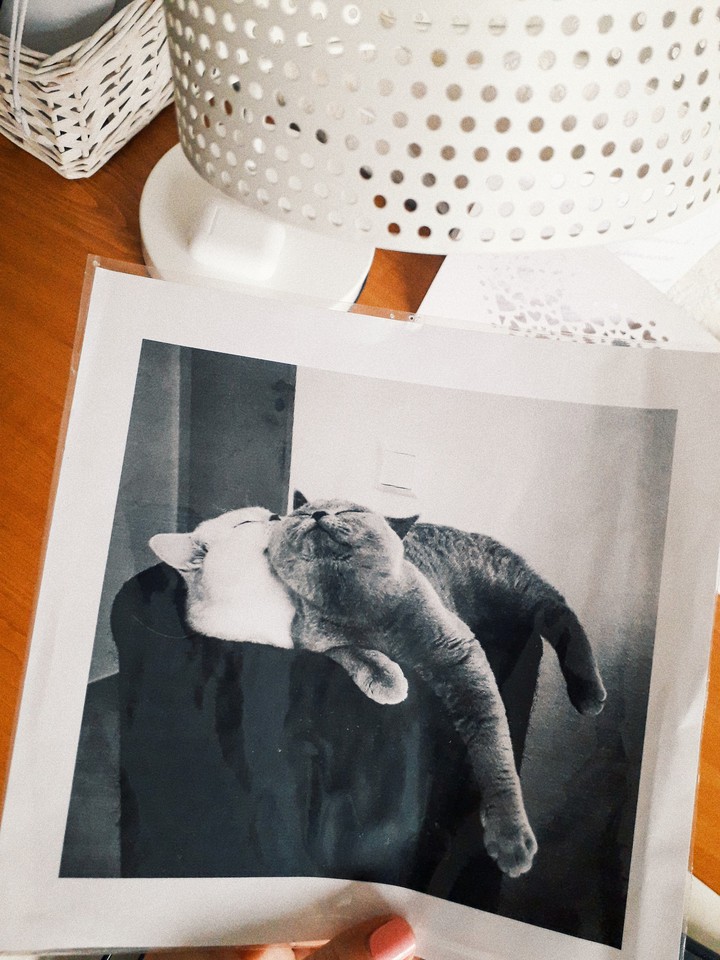 foto