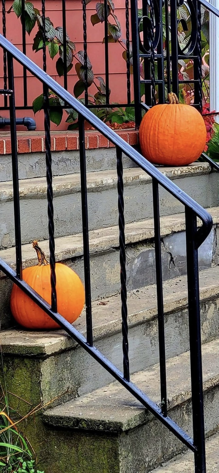 Pumpkin