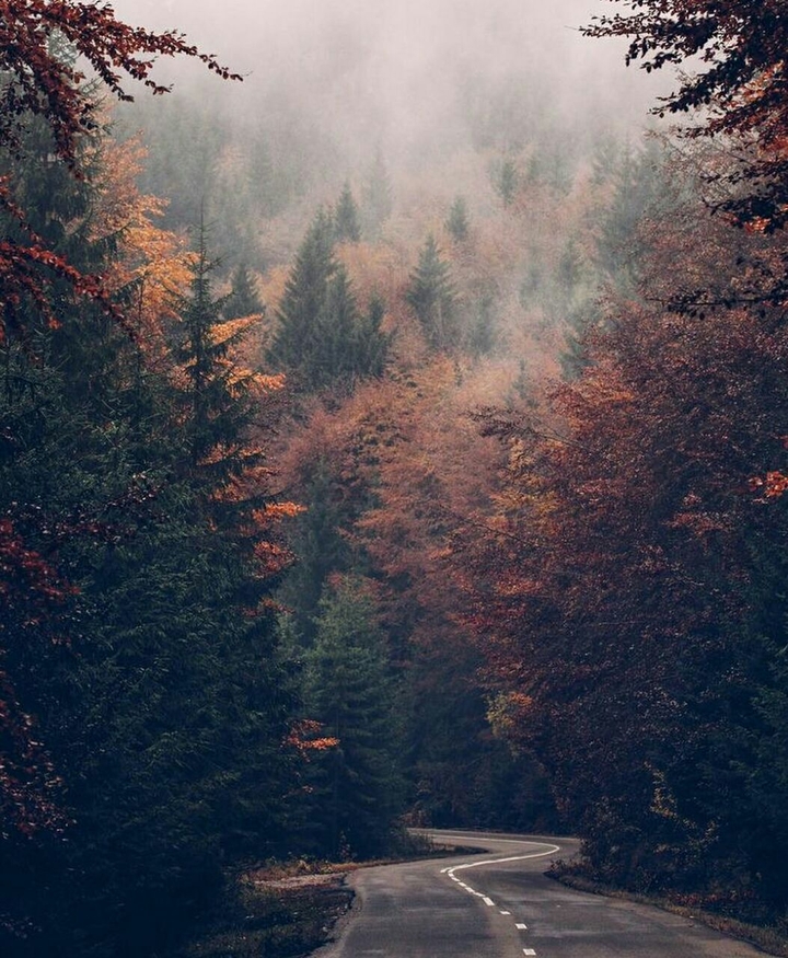autumn