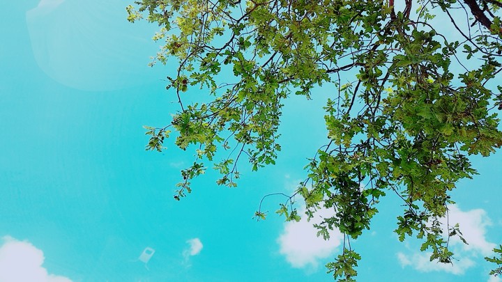 nature