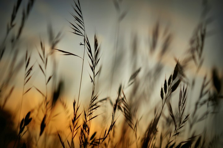 evening