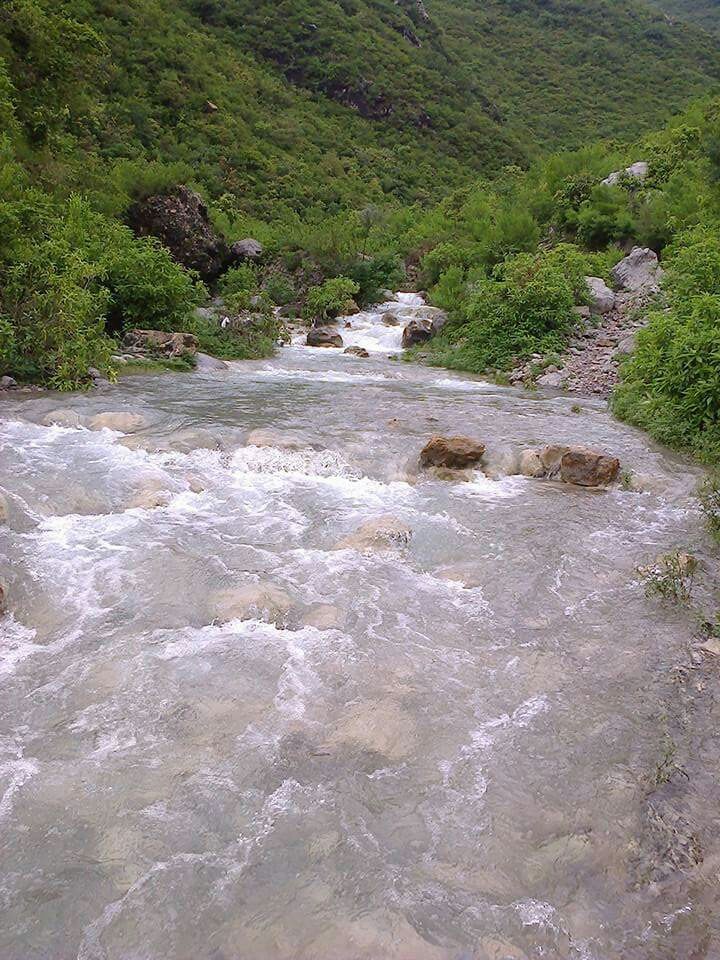 asadasad