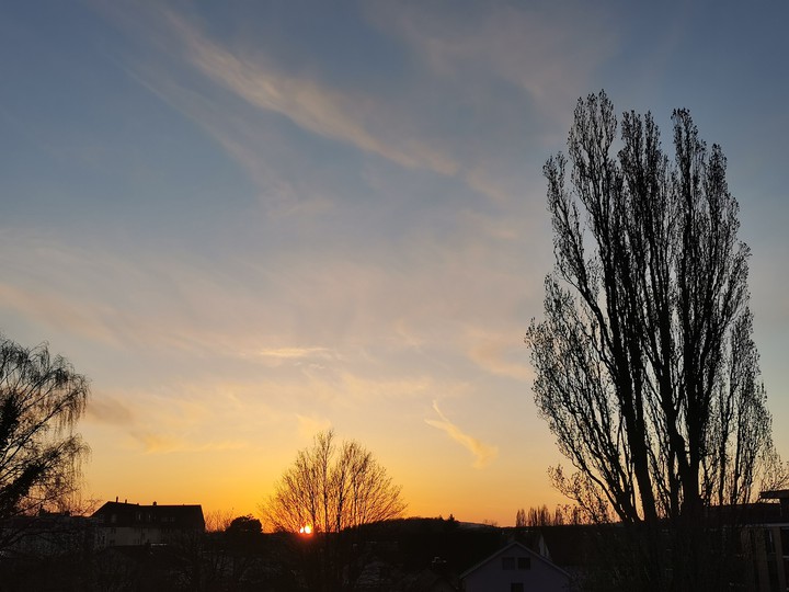 Evening