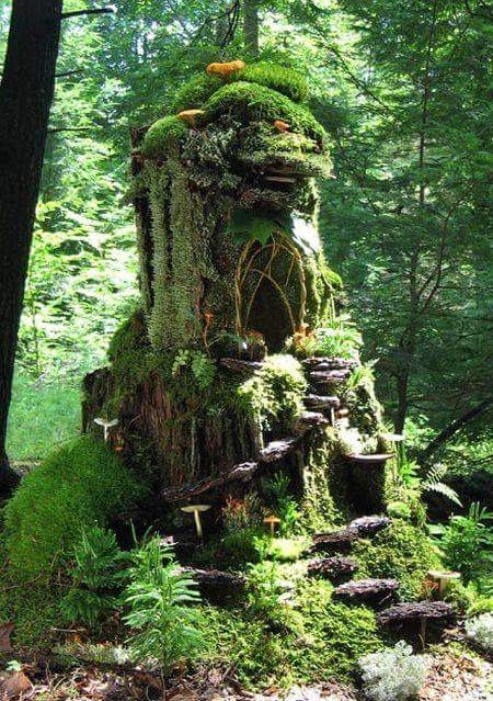 Treehouses...