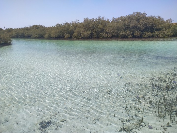 вода