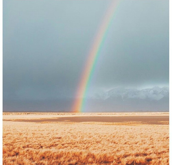 rainbow