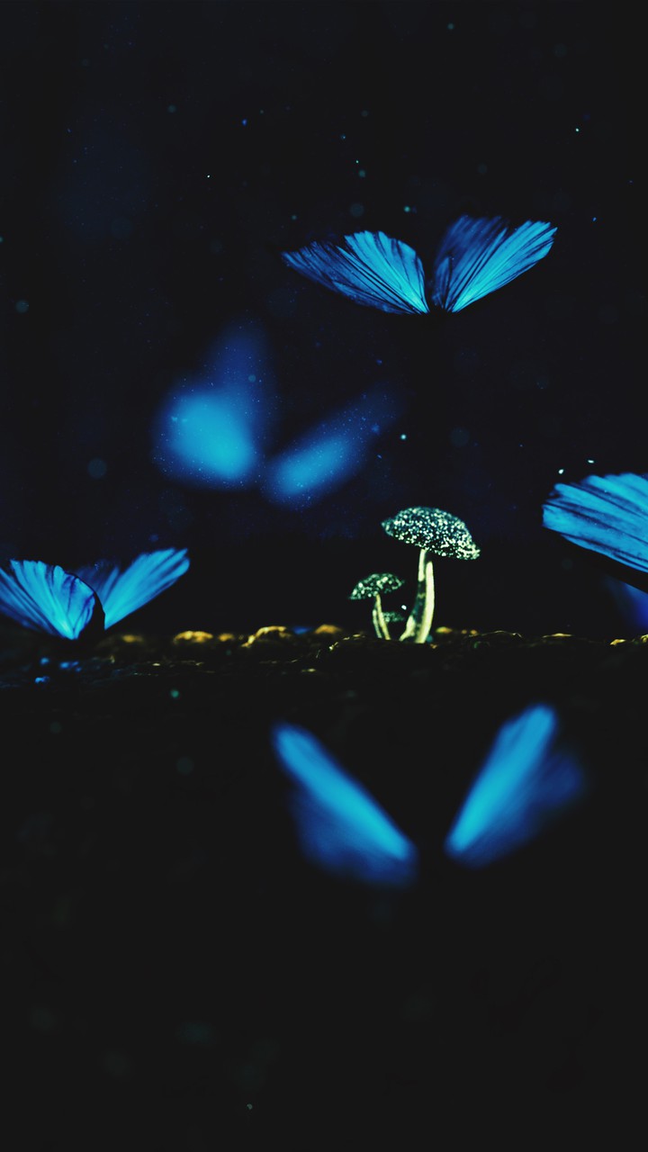Mushroom