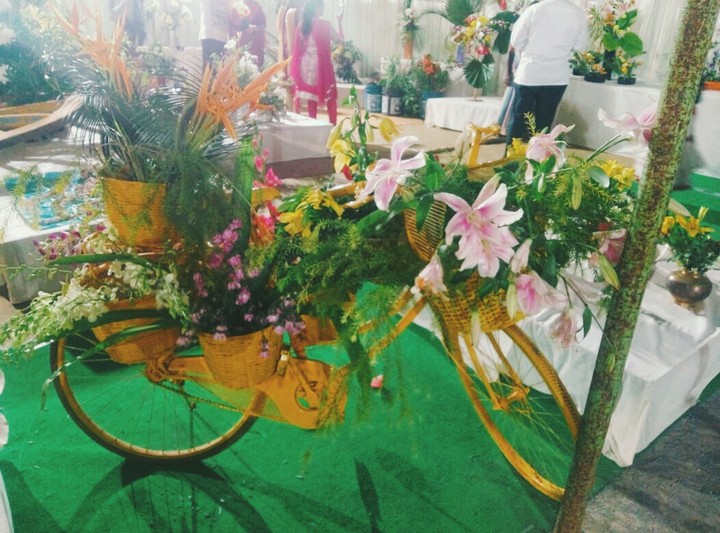 cycle& flowers