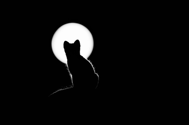 Goodnight